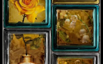 56è Concurs de Fotografia Trofeu Rosa d’Or 2016