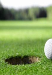 Curs: Maneig de Gespes esportives i tapissants.