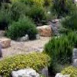 Jardineria_jpg_1397710706