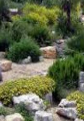 CURS JARDINERIA SOSTENIBLE