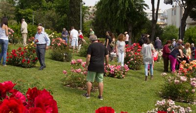 Concurs Internacional de Roses Noves