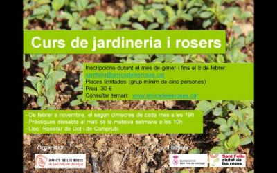 Curs de jardineria i roses