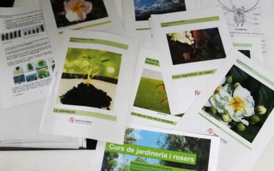 2n. Curs de jardineria i rosers