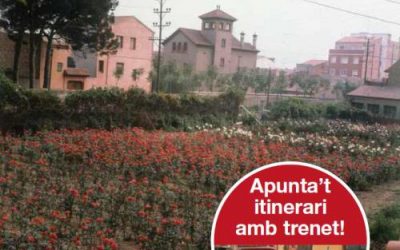 ITINERARI PEL PAISATGE URBÀ A TRAVÉS DE LA TRADICIÓ ROSERÍSTICA DE LA CIUTAT