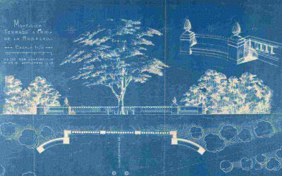 FORESTIER A MONTJUÏC El jardí com a obra d’art