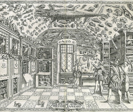 Màster en Patrimoni (Especialitats en Patrimoni Cultural i en Patrimoni Natural)