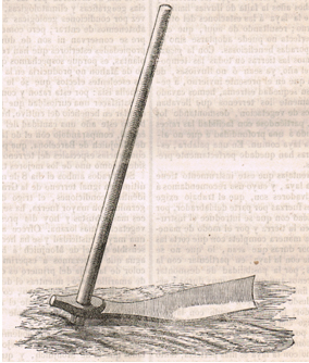 INTRODUCCIÓ DE LA PIOIXA. 1859