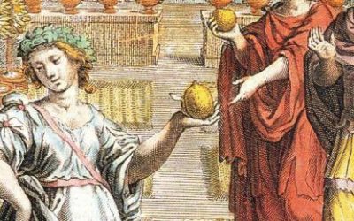 “LA BELLESA CAPTIVA: SIS HISTÒRIES D’ART I PODER EN ELS JARDINS” NOU CURS LB5