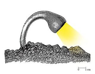 PRIMERA TROBADA D’ENTITATS “DEL VERD” A LA CIUTAT DE BARCELONA