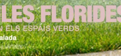 I Fòrum Viles Florides